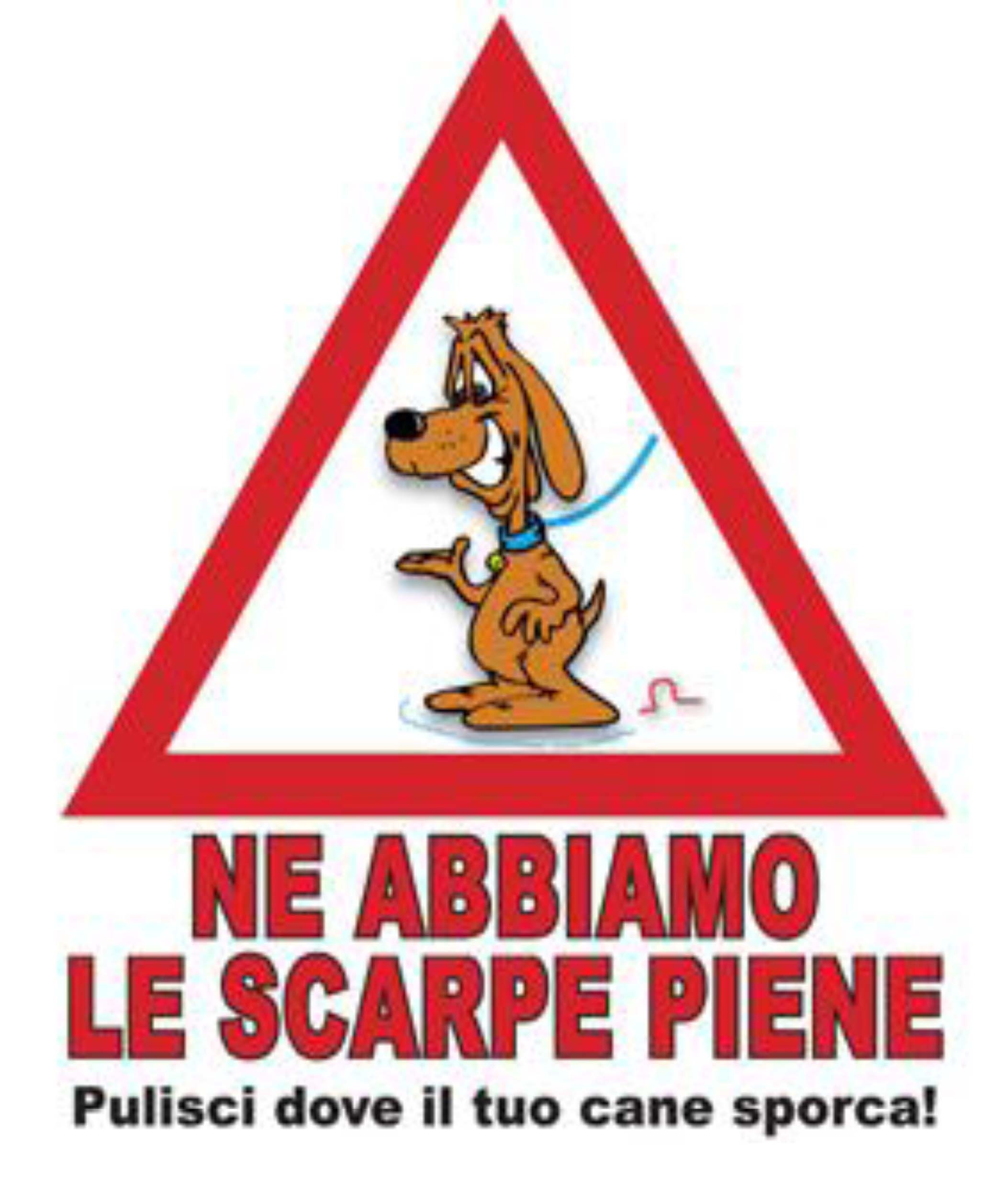 VIESTE - Non raccoglie la cacca del cane, multato - Garganotv
